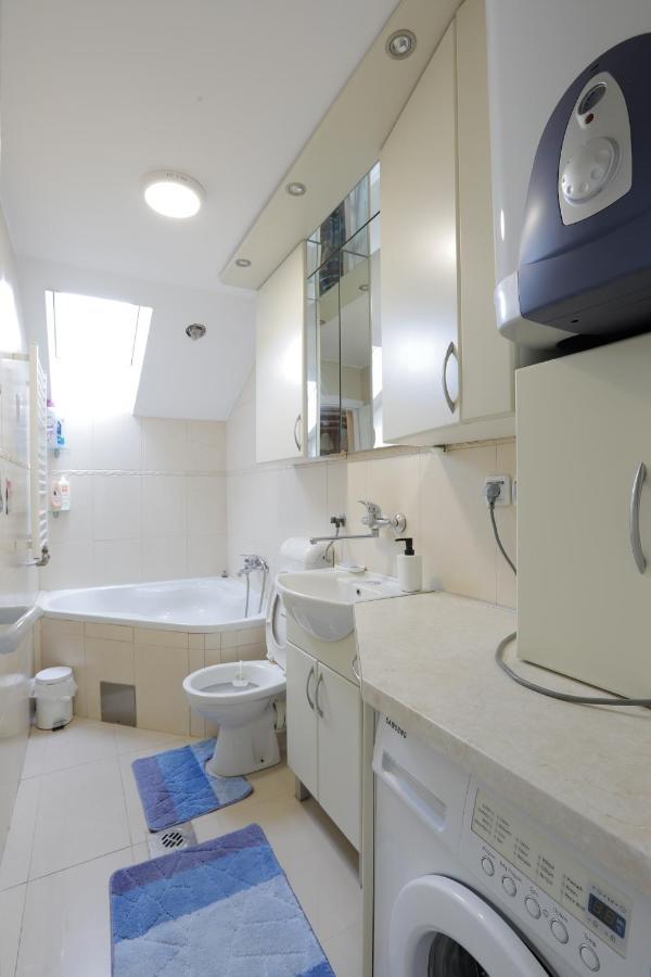 סורצ'ין Aviator Apartments & Rooms Nikola Tesla Airport Belgrade מראה חיצוני תמונה
