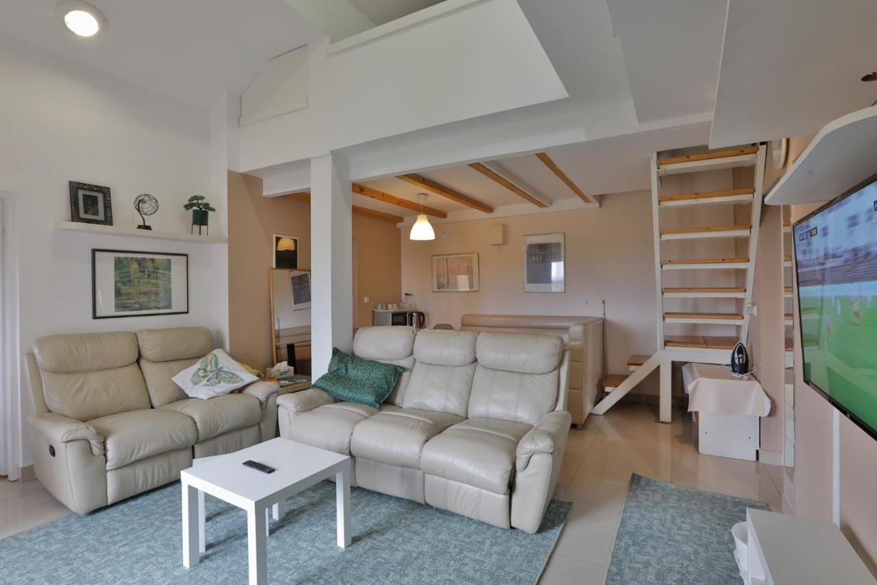 סורצ'ין Aviator Apartments & Rooms Nikola Tesla Airport Belgrade מראה חיצוני תמונה