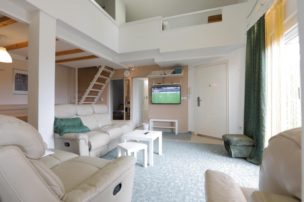 סורצ'ין Aviator Apartments & Rooms Nikola Tesla Airport Belgrade מראה חיצוני תמונה